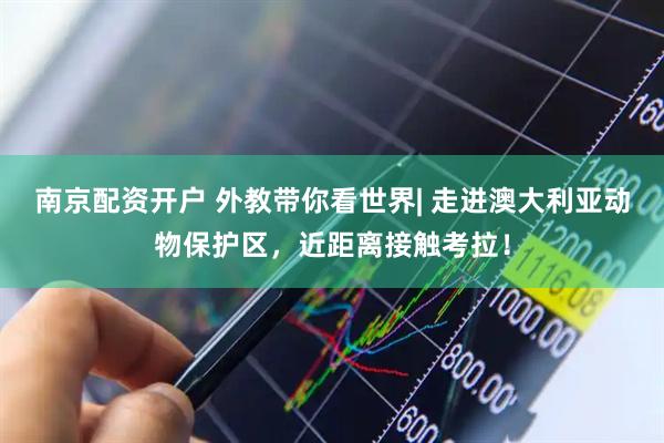 南京配资开户 外教带你看世界| 走进澳大利亚动物保护区，近距离接触考拉！