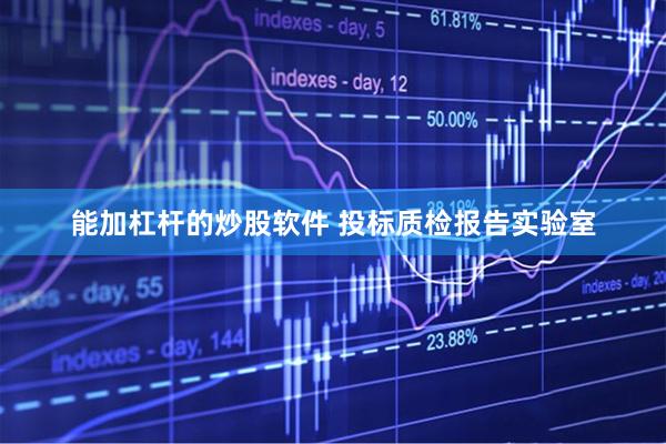 能加杠杆的炒股软件 投标质检报告实验室